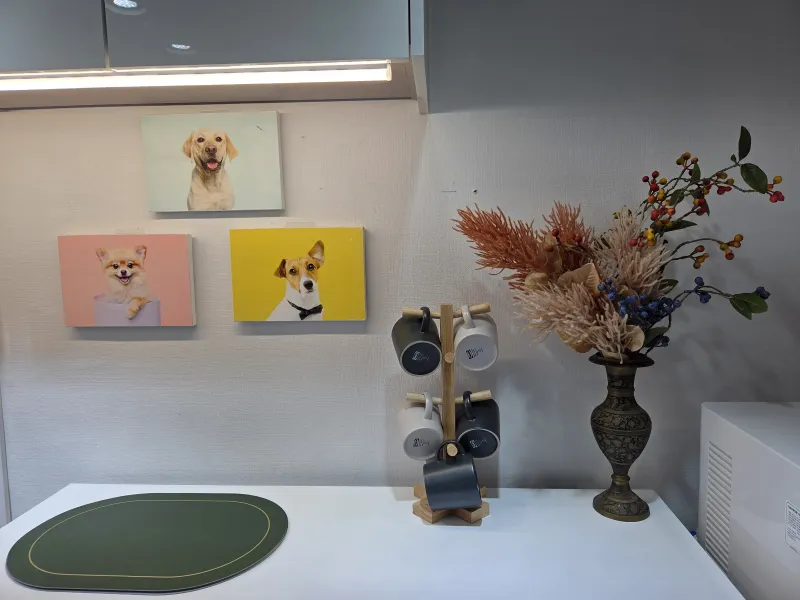 [Sokcho] Bori House #LargeDogsAllowed #LighthouseBeach #YeongrangLake #DogPlayground 23