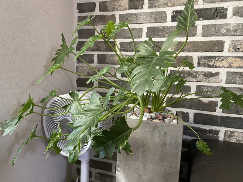[Seongbuk, Seoul] Comfortable Study Line 4 Duplex Officetel 33