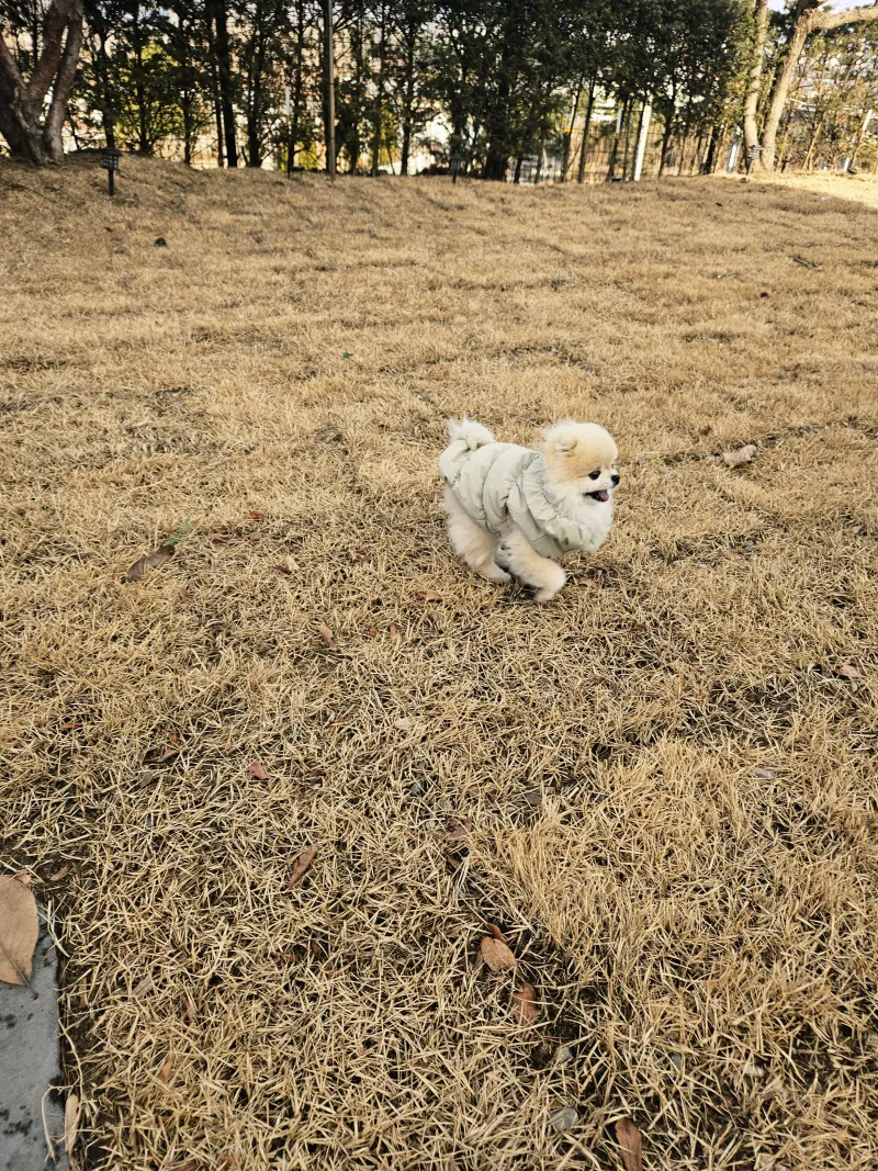 [Yangpyeong] Quiet and clean one-room apartment 24
