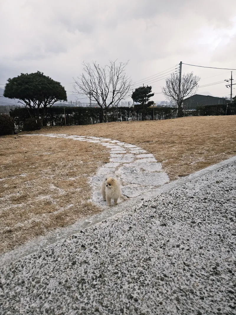 [Yangpyeong] Quiet and clean one-room apartment 23