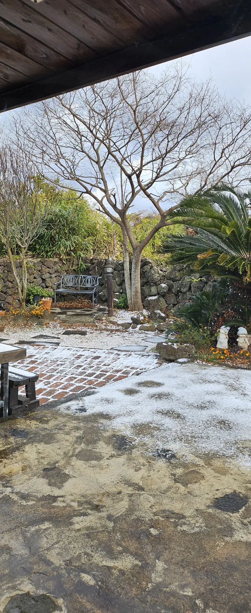 [Hangyeong, Jeju] "A Healing, Emotional Private House Where Time Stops" (Stone Wall Garden, Barbecue, Fireplace) 33