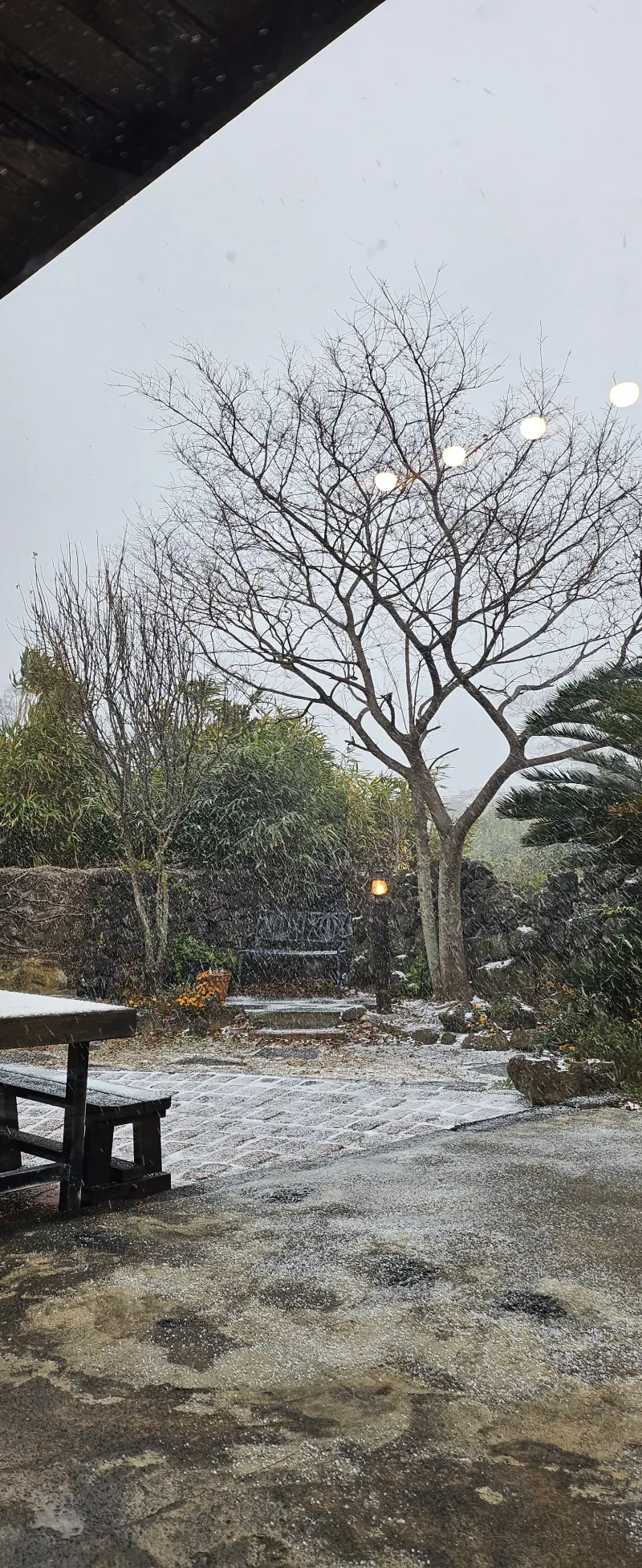 [Hangyeong, Jeju] "A Healing, Emotional Private House Where Time Stops" (Stone Wall Garden, Barbecue, Fireplace) 32