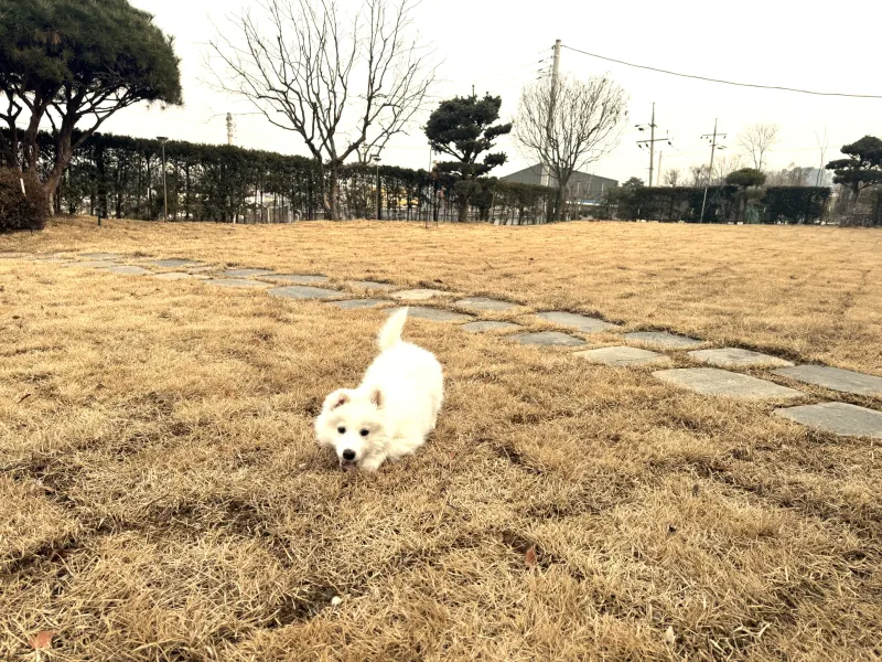 [Yangpyeong] Quiet and clean one-room apartment 22