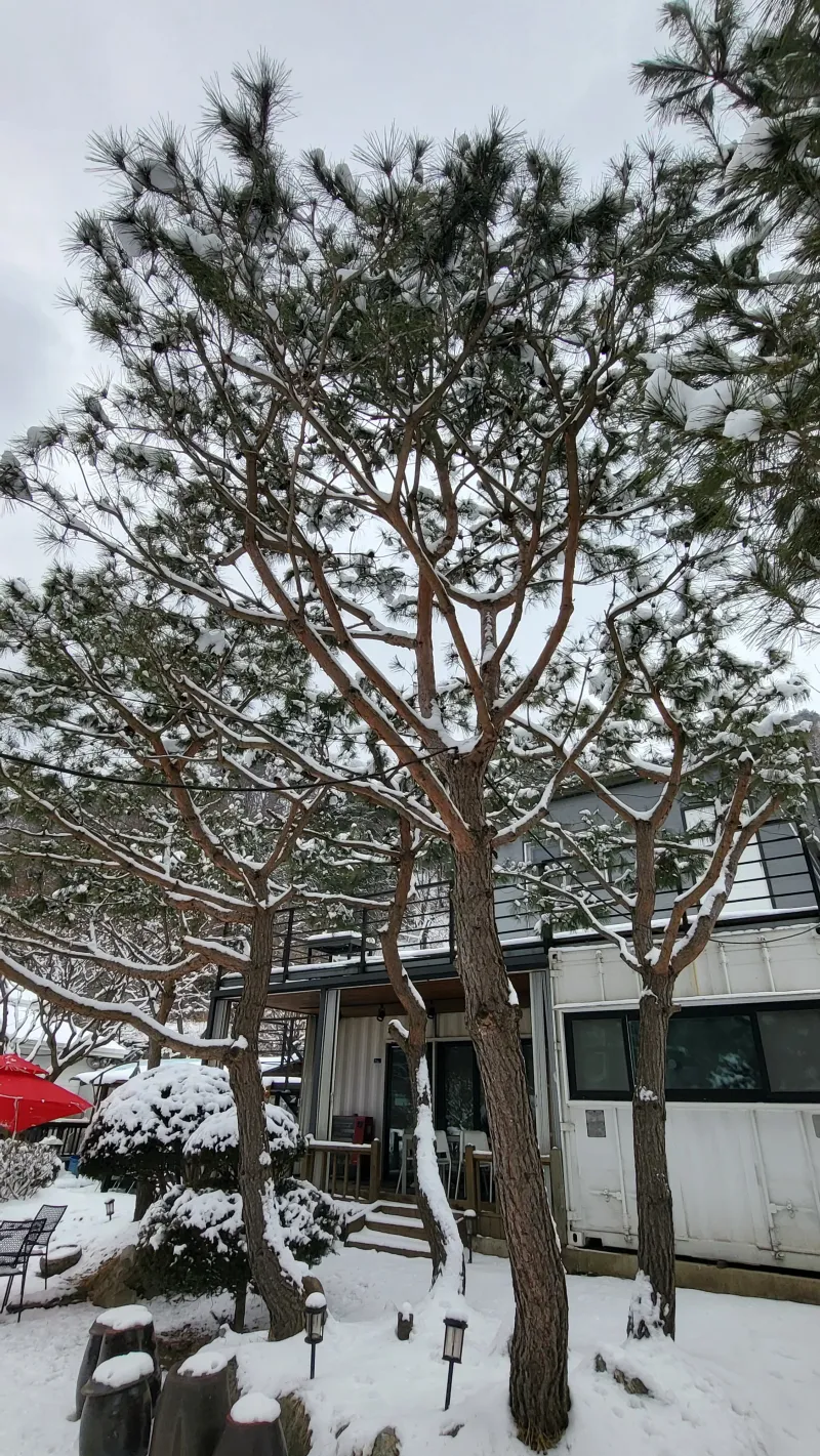 [경기 양평] 2층에서 보는 용문산과 조용한 휴식_솔잎2 36
