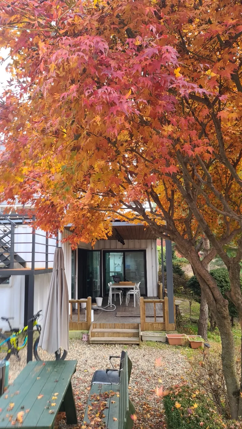 [경기 양평] 2층에서 보는 용문산과 조용한 휴식_솔잎2 44