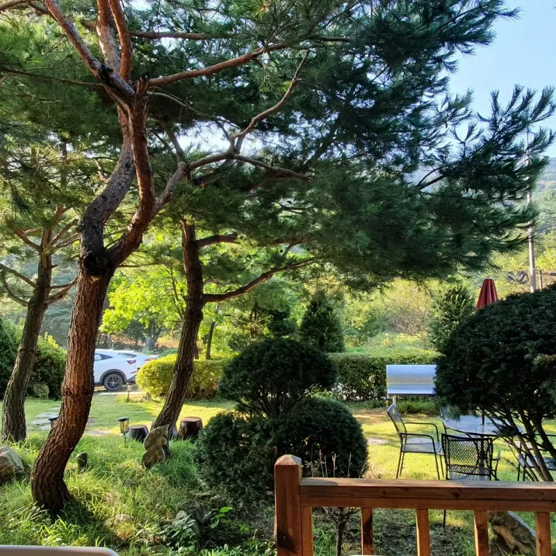 [경기 양평] 2층에서 보는 용문산과 조용한 휴식_솔잎2 30