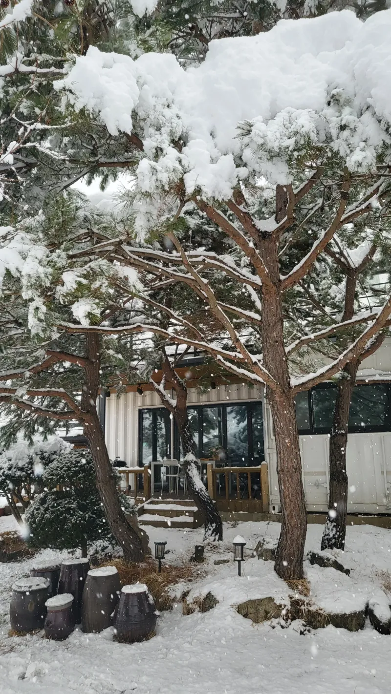 [경기 양평] 2층에서 보는 용문산과 조용한 휴식_솔잎2 42