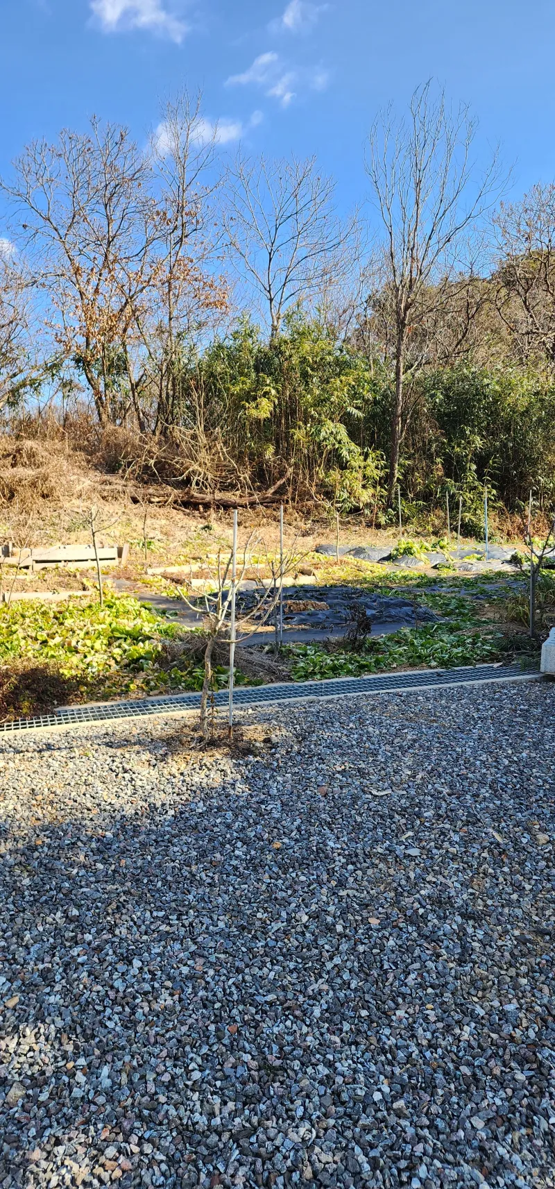 [Buyeo] A quiet house surrounded by nature 49