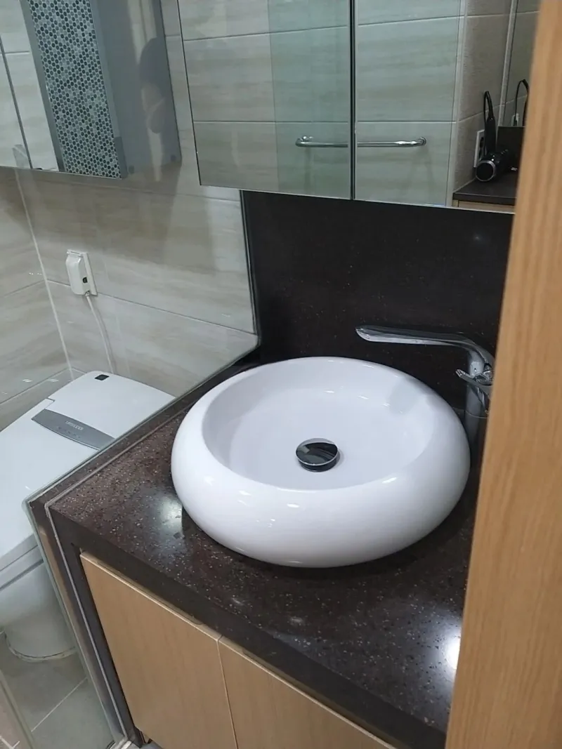 [Gangseo, Seoul] Lux 1100L, Magoknaru Station 6