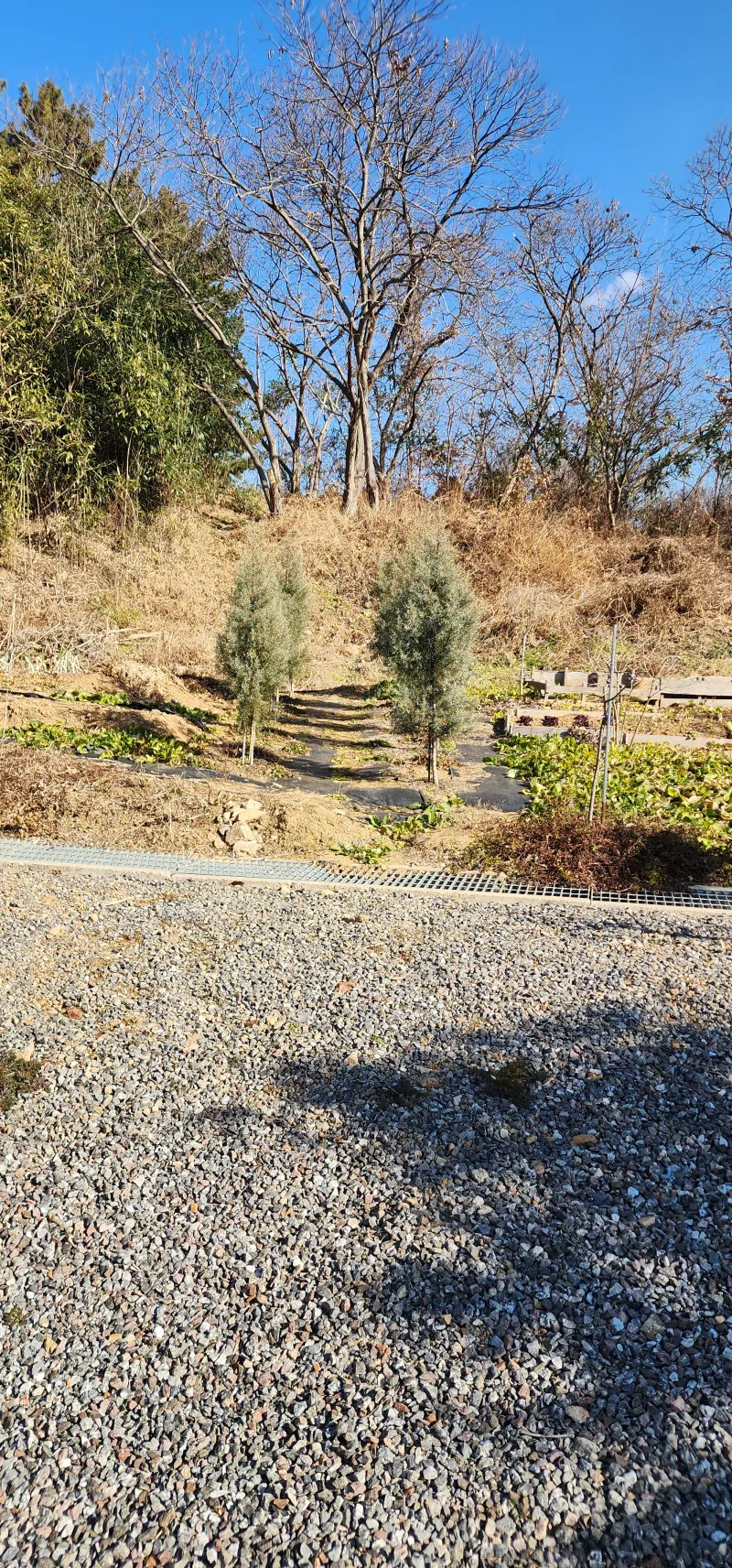 [Buyeo] A quiet house surrounded by nature 50