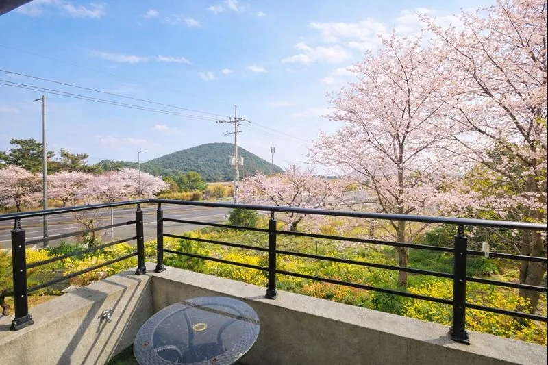 [제주 구좌] 바다가 가까운 조용한 2층 투룸독채 101호 12