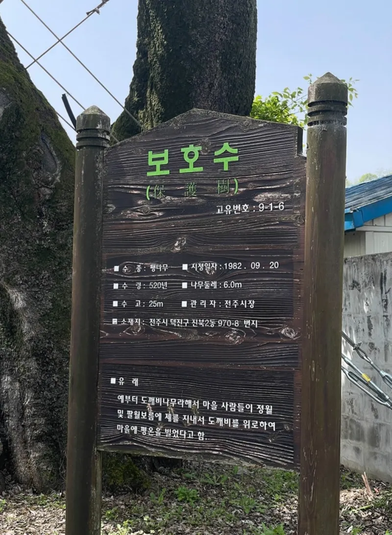 [전북 전주] B1-3인통창뷰감성@한달살기@전주천산책로@한옥마을10분 48