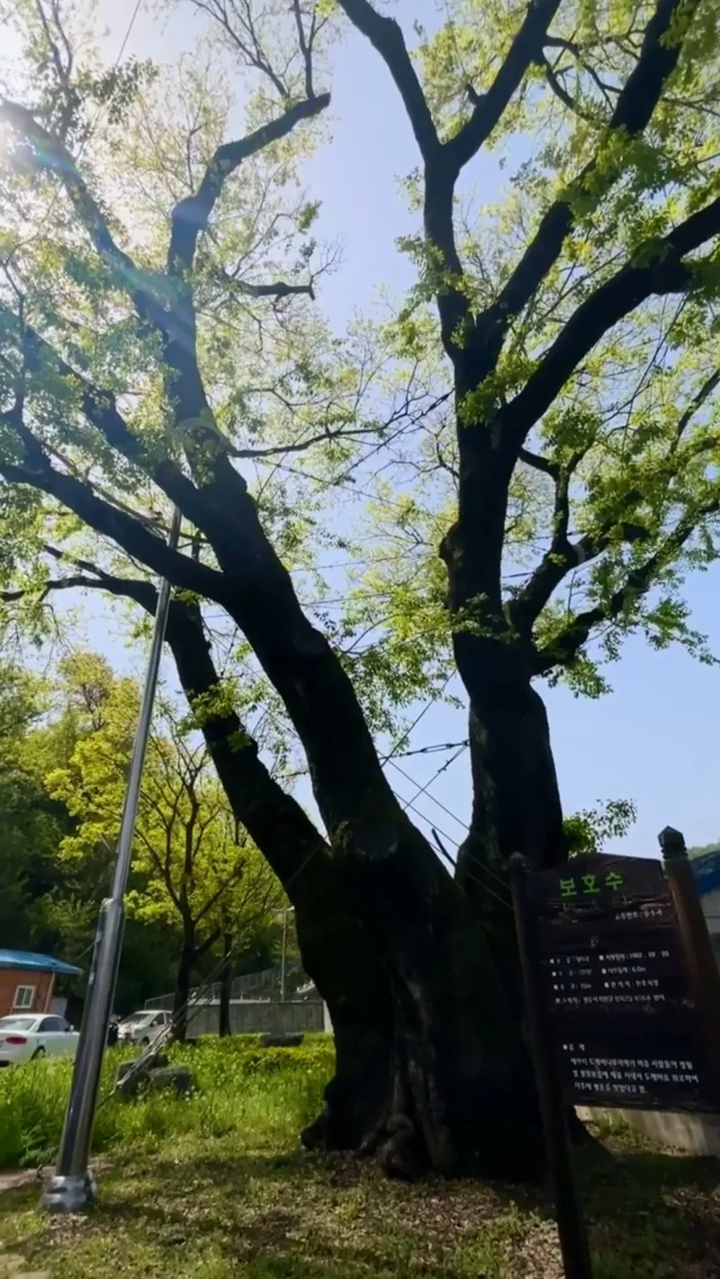 [전북 전주] A1-3인@전주천산책로@한옥마을10분@산뷰@마을뷰@힐링투룸 67