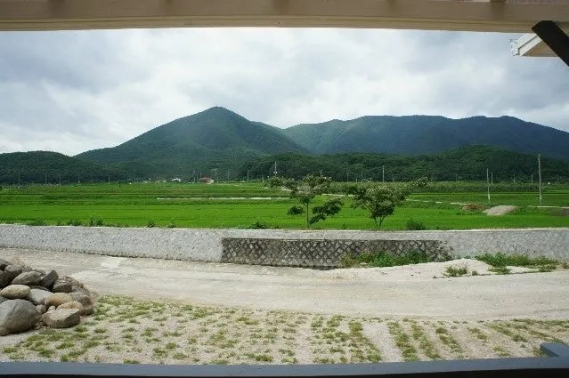[경북 경주] 논뷰와 함께하는 완벽한 휴식 #30평대 독채 18