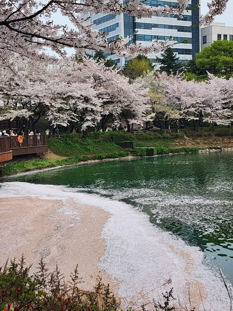 [Songpa, Seoul] Jamsil (Seokchon Station) / Vacation + Business Trip + Hospital Visit / Clean, Quiet 41