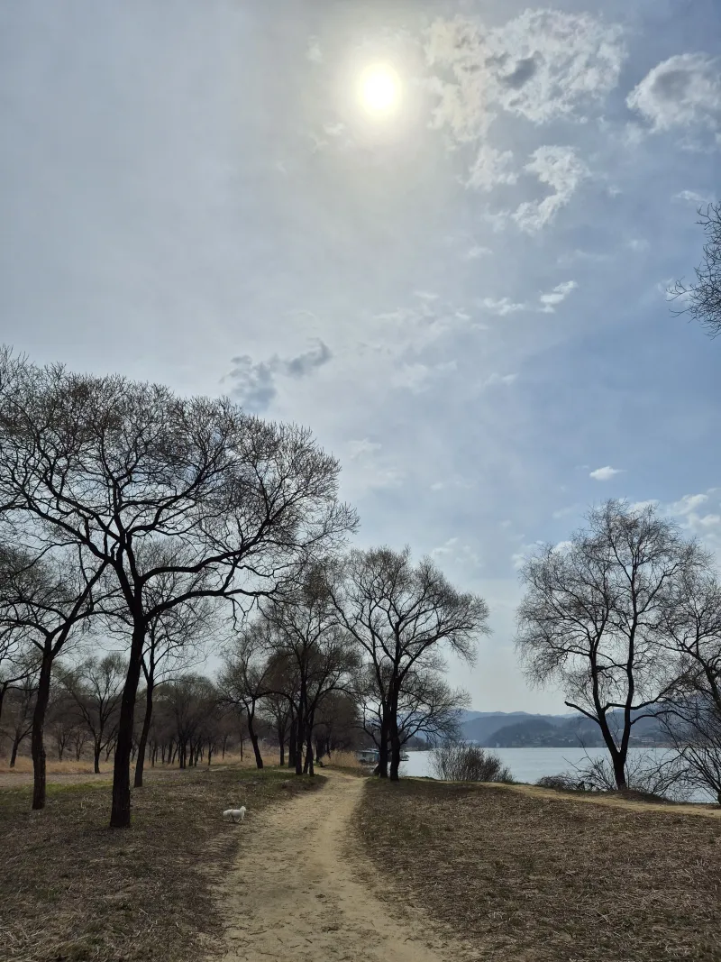 [Yangpyeong] A quiet, private retreat in a mountain village 64