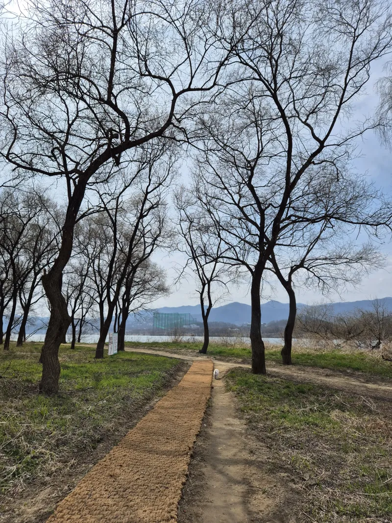 [Yangpyeong] A quiet, private retreat in a mountain village 63