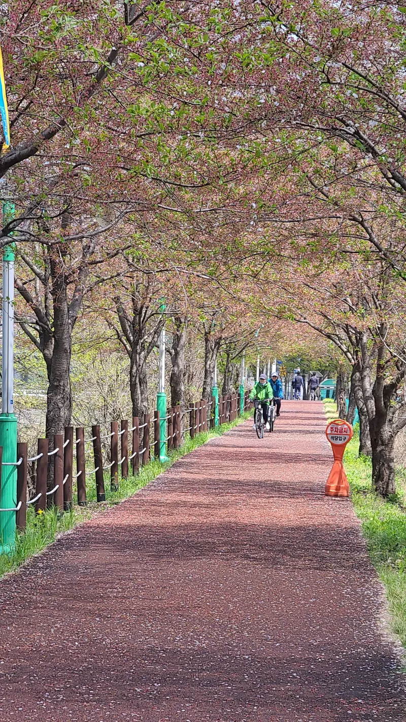 [Yangpyeong] A quiet, private retreat in a mountain village 67