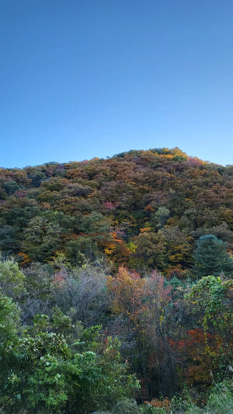 [Yangpyeong] A quiet, private retreat in a mountain village 98