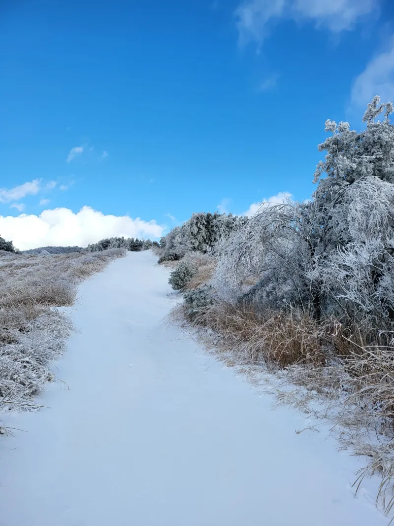 [Yangpyeong] A quiet, private retreat in a mountain village 54