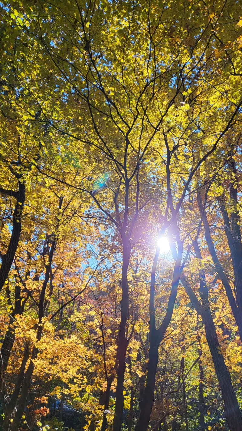 [Yangpyeong] A quiet, private retreat in a mountain village 97