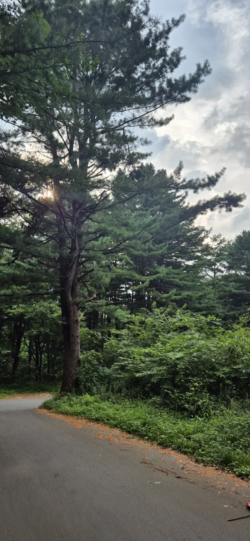 [Yangpyeong] A quiet, private retreat in a mountain village 93
