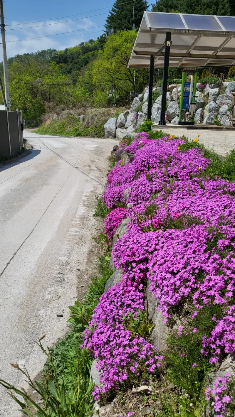 [Yangpyeong] A quiet, private retreat in a mountain village 73