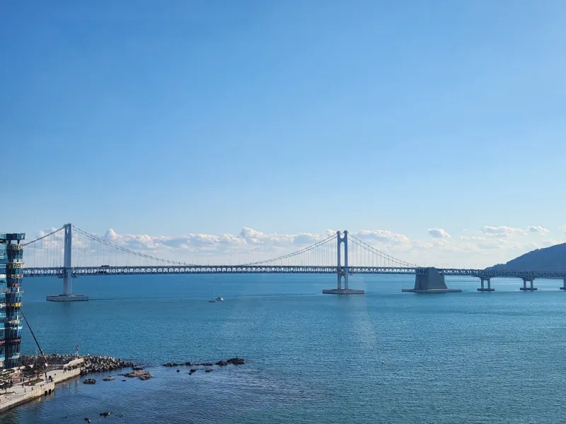 [부산 수영] 드론쇼 명당 자리!! 광안리 바닷가 30초컷 17