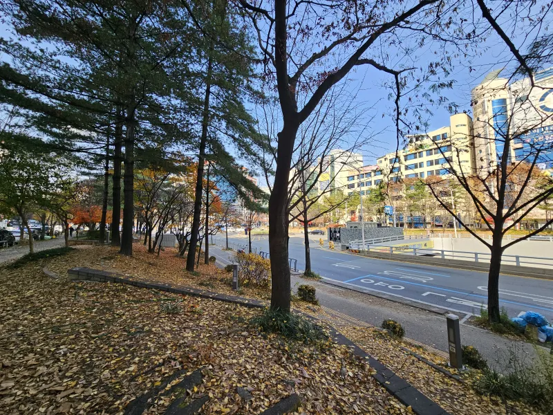 [대전 서구] 둔산 올리모델링 마친 풀세팅 아파트&거실 분리 31