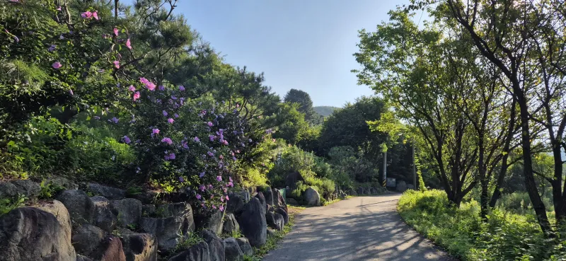 [Yangpyeong] A private villa in Bulmong, a great restaurant for stargazing in the night sky of Eobi Valley. 65