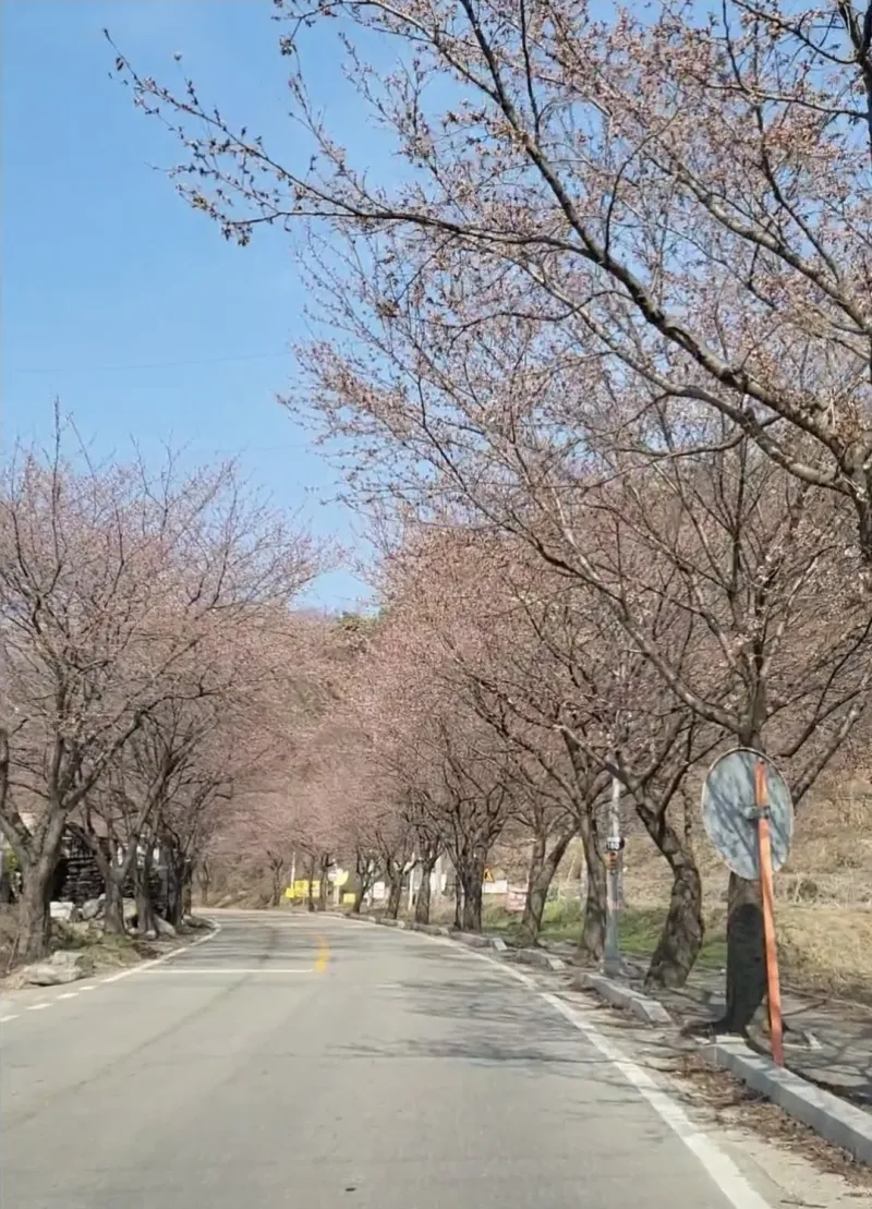 [경기 양평] 2층에서 보는 용문산과 조용한 휴식_솔잎2 69