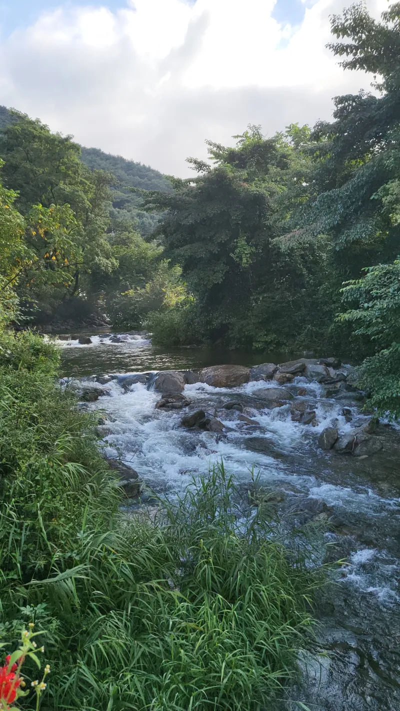 [경기 양평] 2층에서 보는 용문산과 조용한 휴식_솔잎2 81