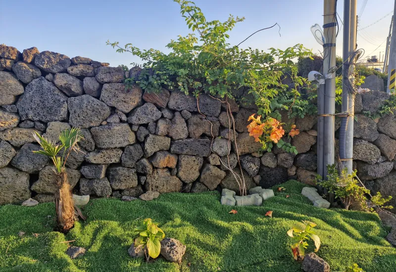 [Hangyeong, Jeju] Sea Garden No. 201. Sea. Stone Wall. Coastal Road. Countryside Viewing 38