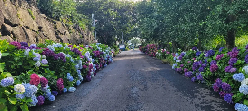 [Aewol, Jeju] Ocean View Forum Pension Mugunghwa #Individual Sauna #Small Dogs Allowed 39