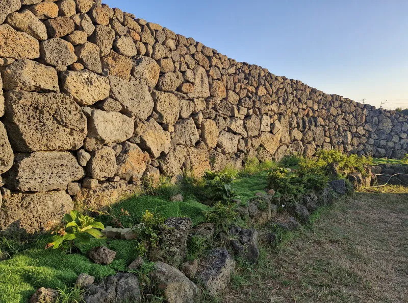 [Hangyeong, Jeju] Sea Garden No. 201. Sea. Stone Wall. Coastal Road. Countryside Viewing 39