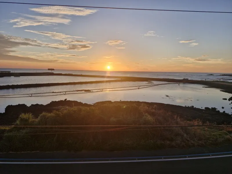 [Hangyeong, Jeju] Sea Garden No. 201. Sea. Stone Wall. Coastal Road. Countryside Viewing 55