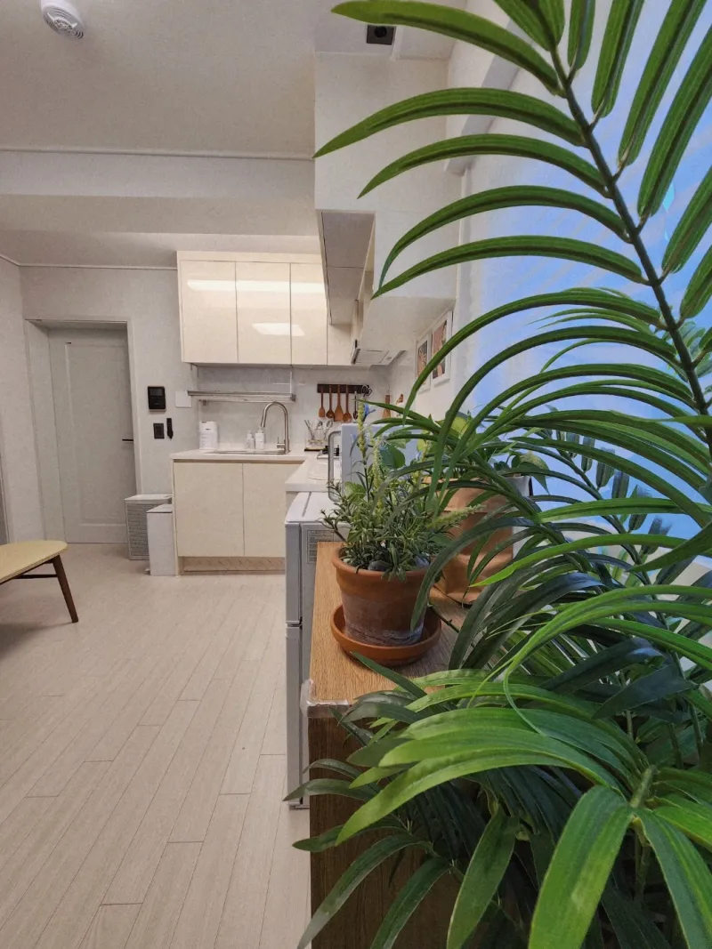 [Songpa, Seoul] Jamsil·KSPO·Hospital·Business trip·2-room, 2-bed private 24
