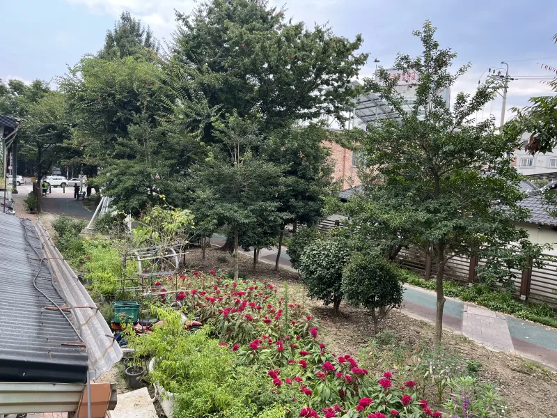 [Dong-gu, Gwangju] Pureungil Forest Area! A charming, first-floor detached home with OTT and laundry facilities. 12