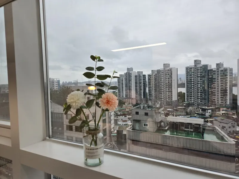 [서울 영등포][당산]당산역 도보1분#한강뷰 복층 오피스텔#반려동물 동반 가능 33
