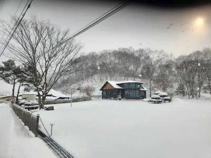 [충북 충주] 마실길11 53