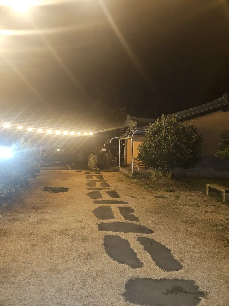 [제주 애월] 편백나무와 힐링이 함께하는 원룸형 숙소 #애견동반가능2 12