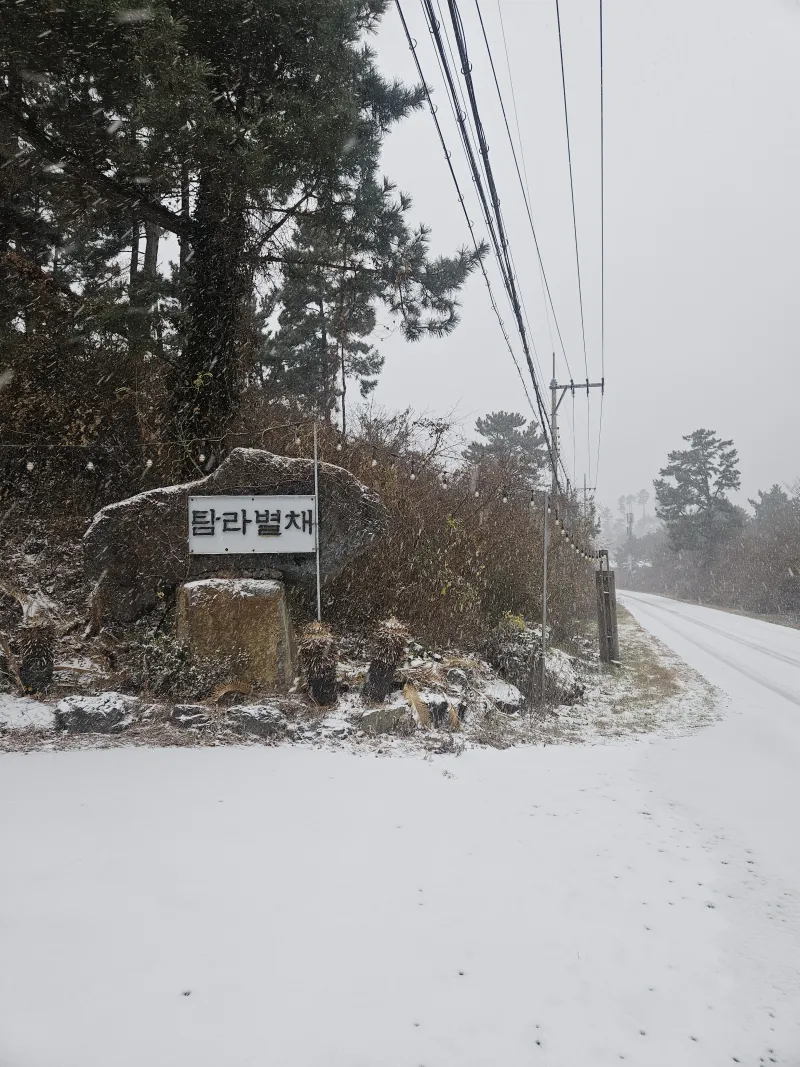 [제주 애월] 한옥원룸 편백과 함께하는 #애견동반가능 13
