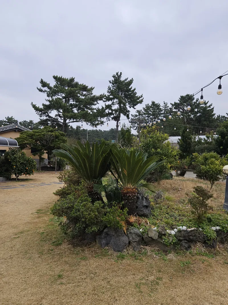 [제주 애월] 한옥독채 편백과 함께하는 #애견동반가능 16