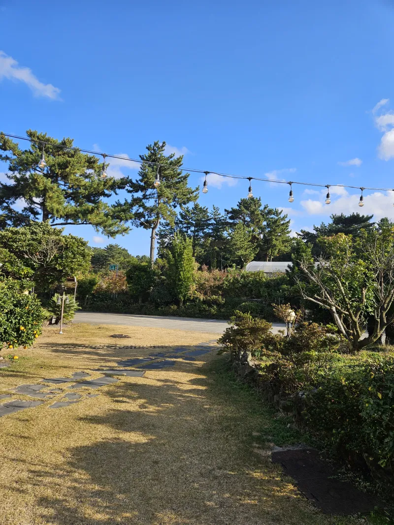 [Aewol, Jeju] Accommodation with cypress trees and healing #Pets allowed 2 separate building 33