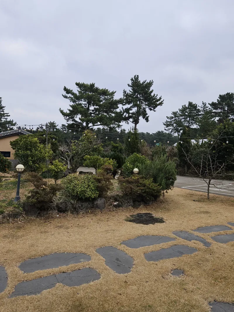 [제주 애월] 편백나무와 힐링이 함께하는 숙소 #애견동반가능2 별채 12
