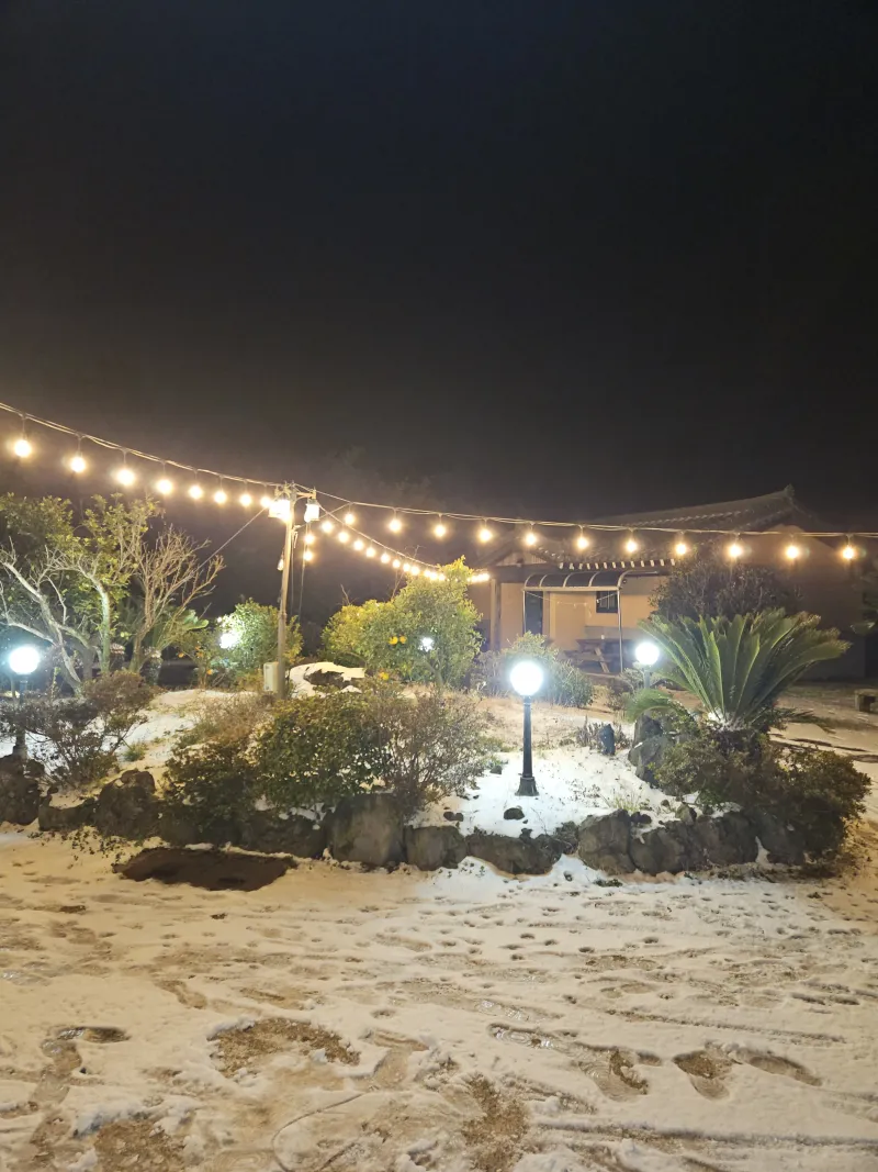 [Aewol, Jeju] Accommodation with cypress trees and healing #Pets allowed 2 separate building 8