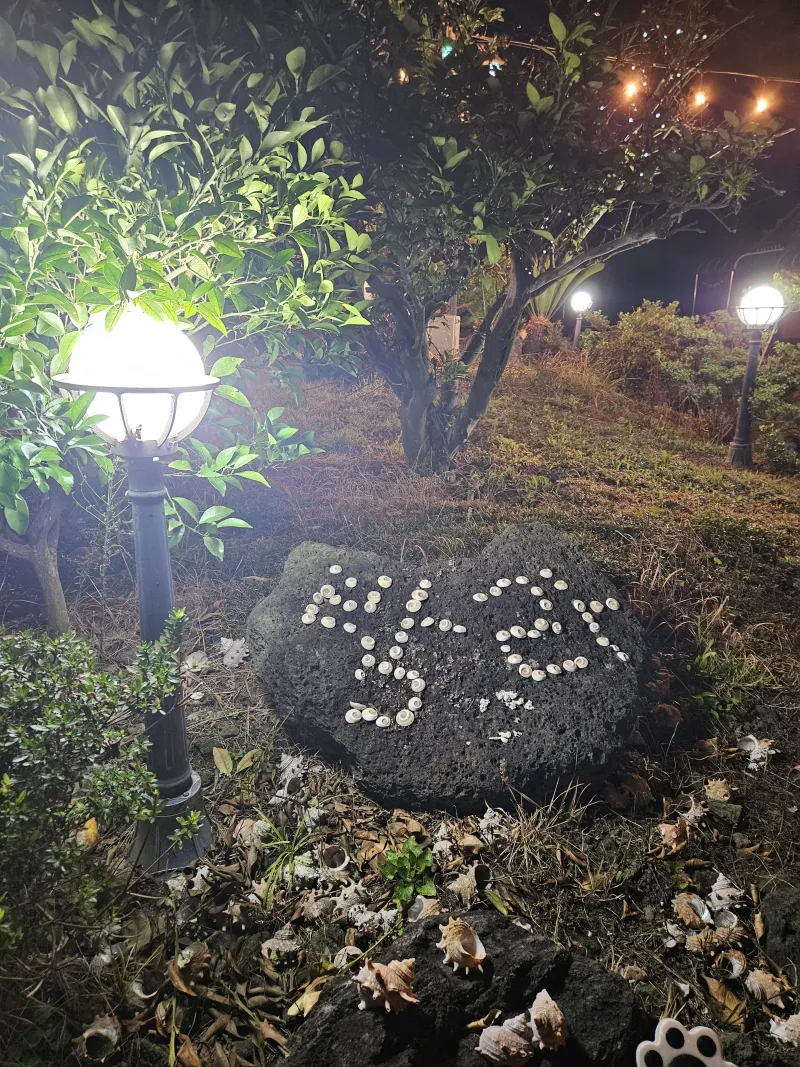 [Aewol, Jeju] Accommodation with cypress trees and healing #Pets allowed 2 separate building 35
