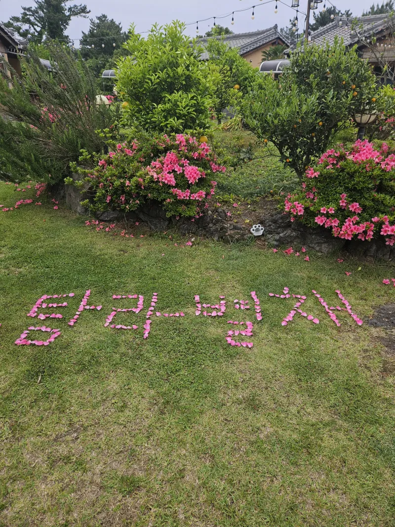 [제주 애월] 한옥원룸 편백과 함께하는 #애견동반가능 20