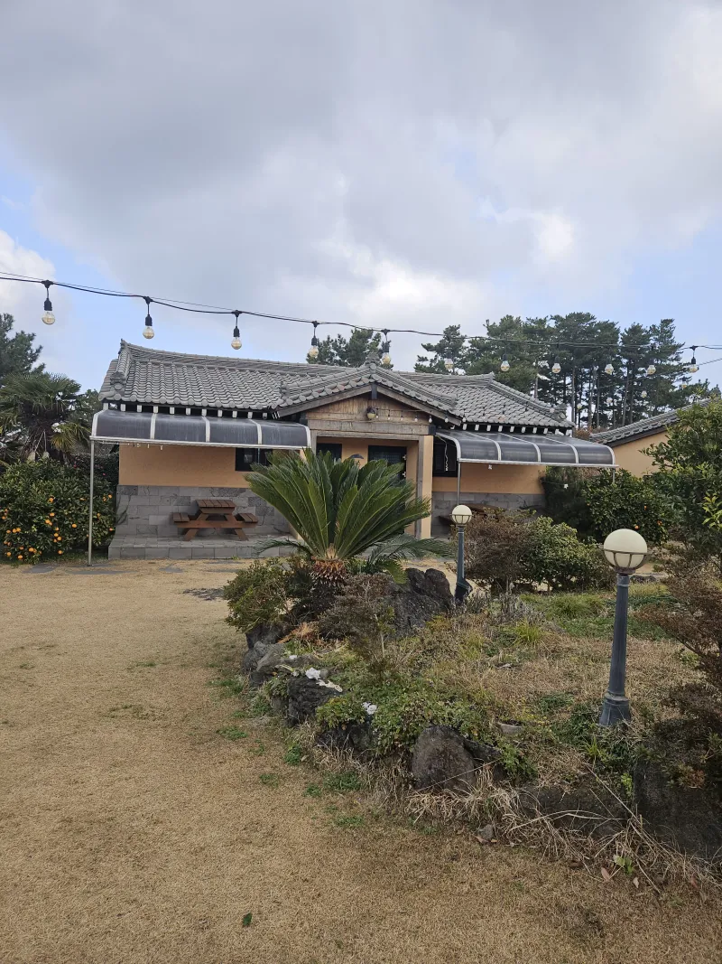 [제주 애월] 한옥원룸 편백과 함께하는 #애견동반가능 14