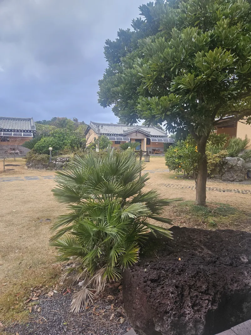[Aewol, Jeju] Accommodation with cypress trees and healing #Pets allowed 17